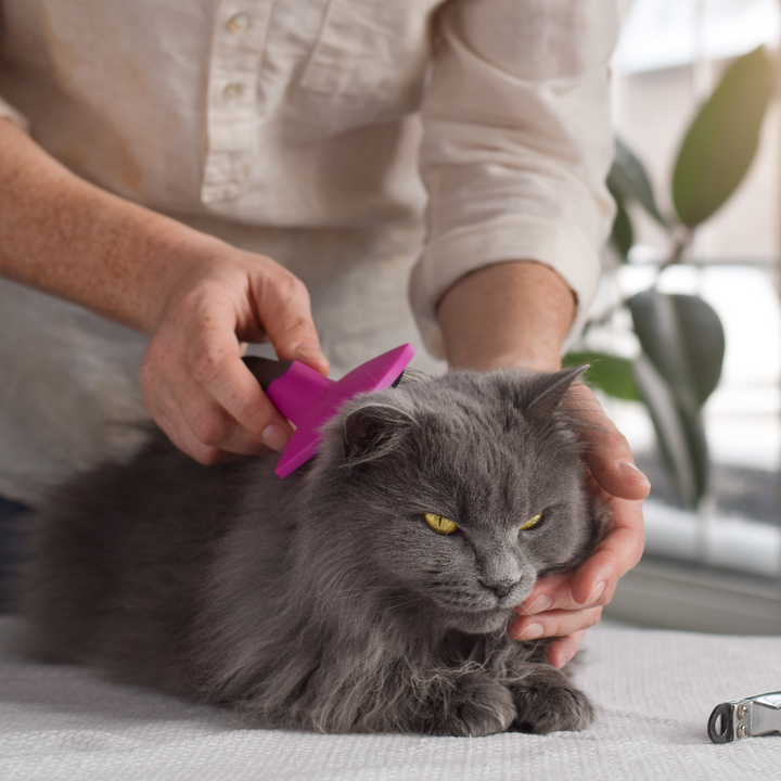 Pet Grooming Supplies