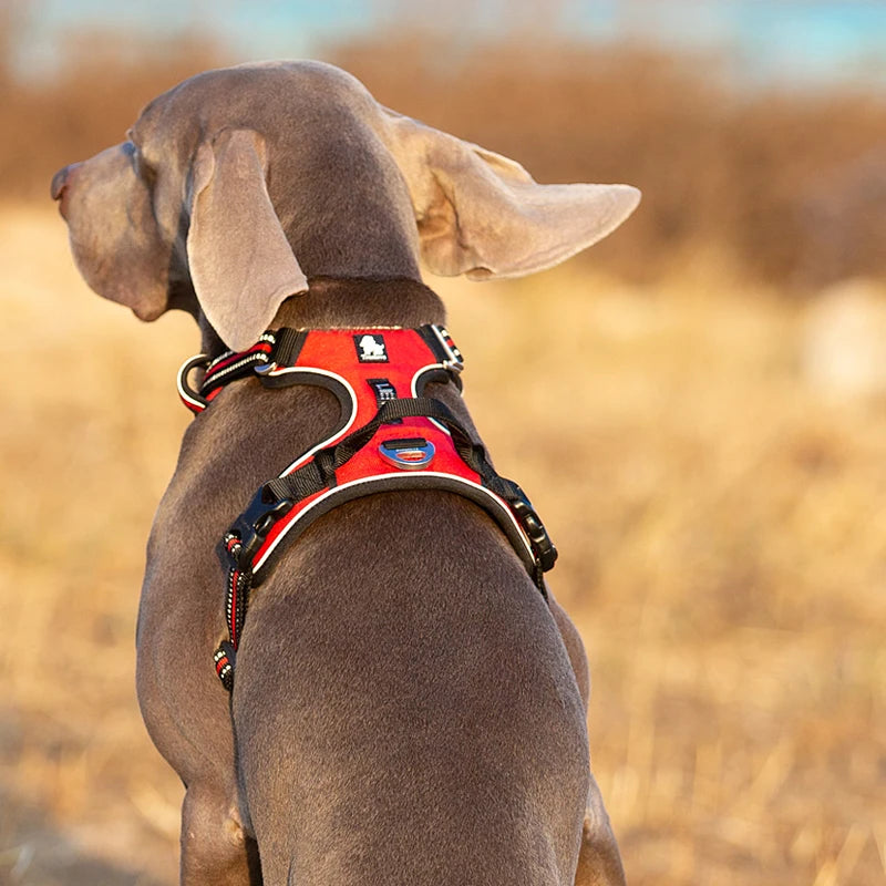 Truelove Reflective No-Pull Dog Harness