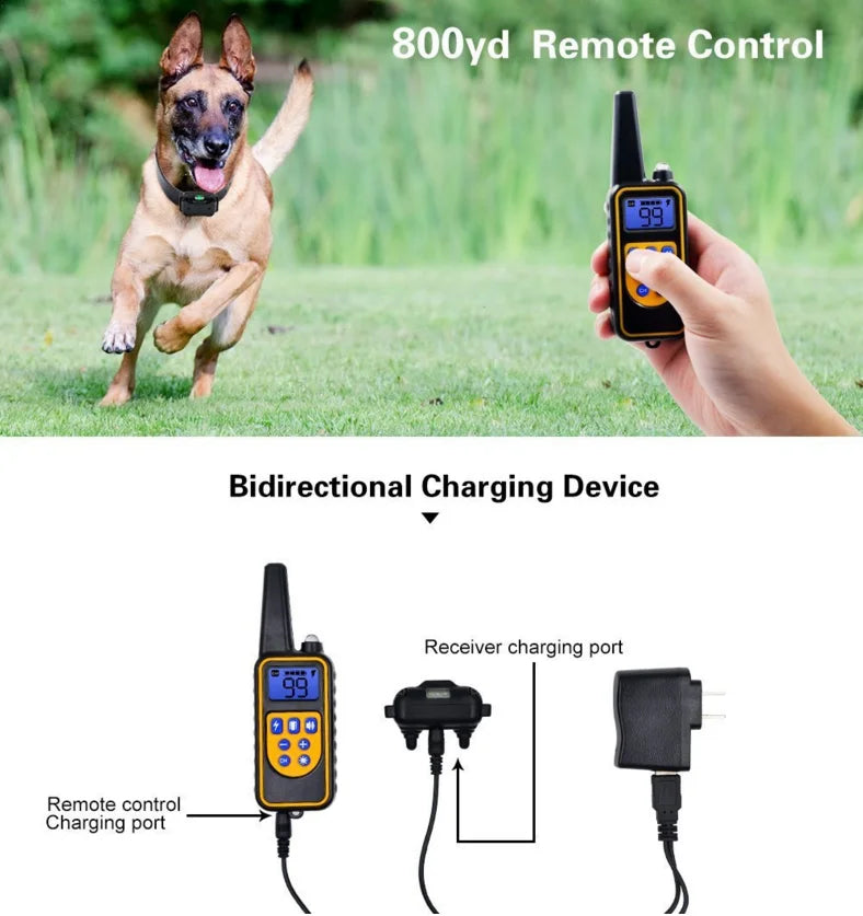 Electric Dog Training Collar with Remote – Waterproof & Rechargeable