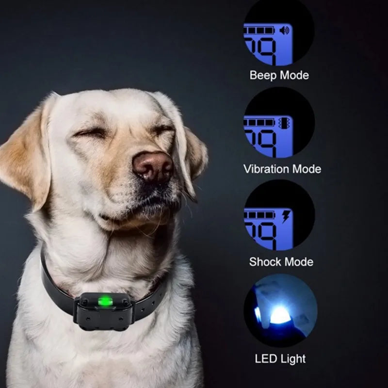 Electric Dog Training Collar with Remote – Waterproof & Rechargeable