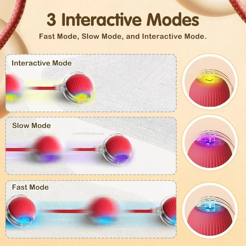 Electric Self-Rolling Cat Ball Toy