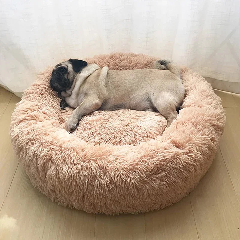 Ultra Soft Donut Dog & Cat Bed
