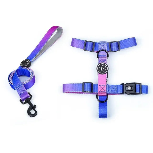 Gradient Color Dog Collar & Leash Set with Luxury Harness
