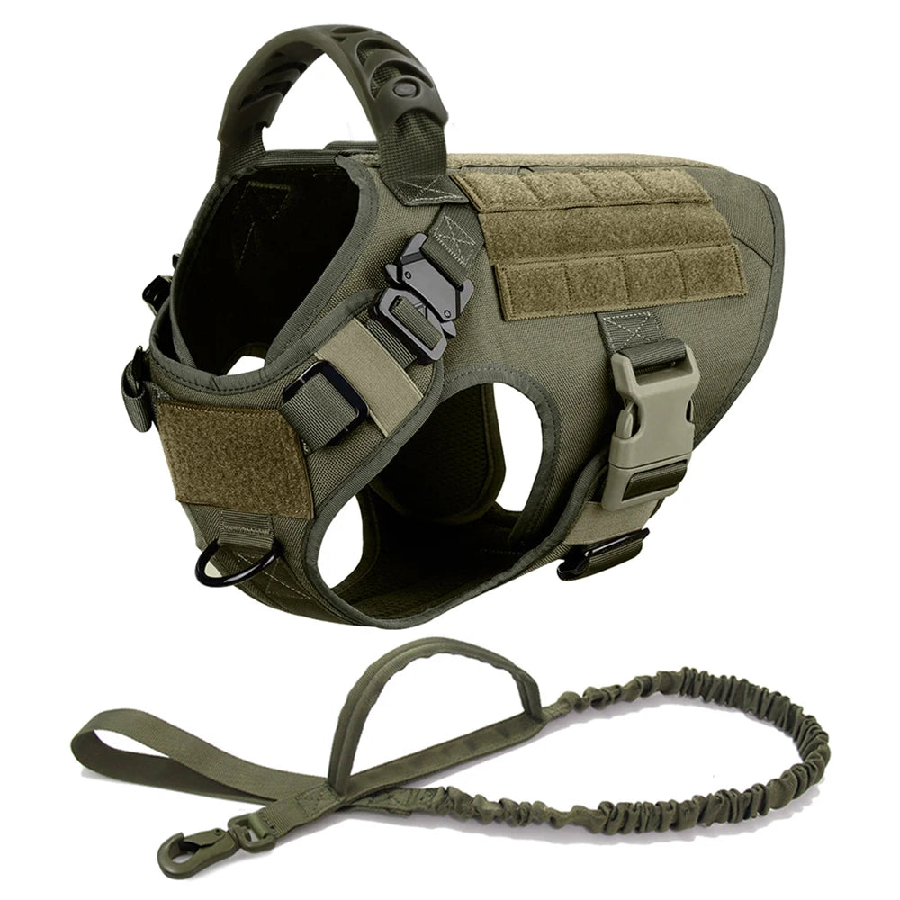 PETRAVEL LED Nylon Dog Harness & Leash – Night Safety Gear