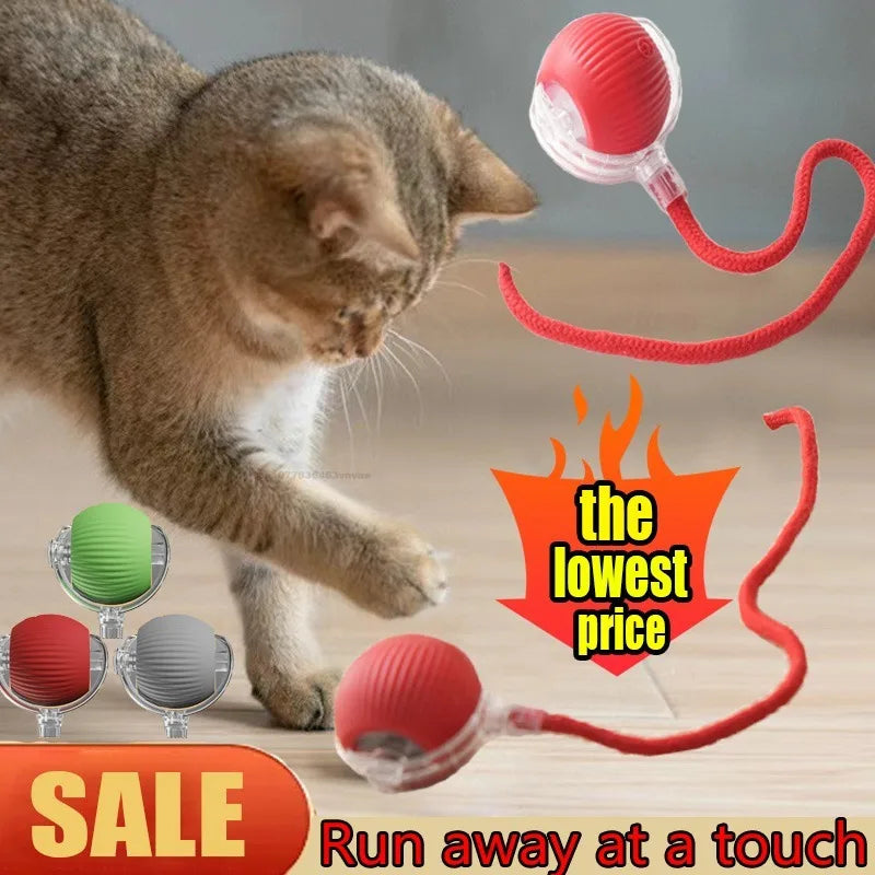 Electric Self-Rolling Cat Ball Toy