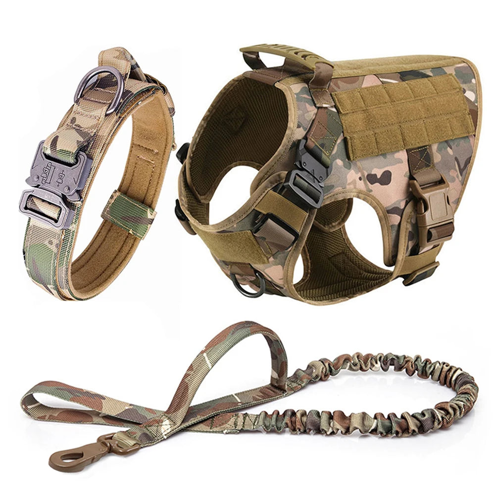 PETRAVEL LED Nylon Dog Harness & Leash – Night Safety Gear
