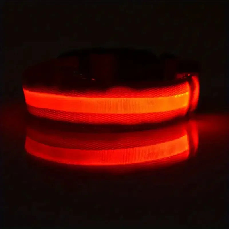 LED Glow in the Dark Dog Leash & Collar – Nylon Night Safety Gear