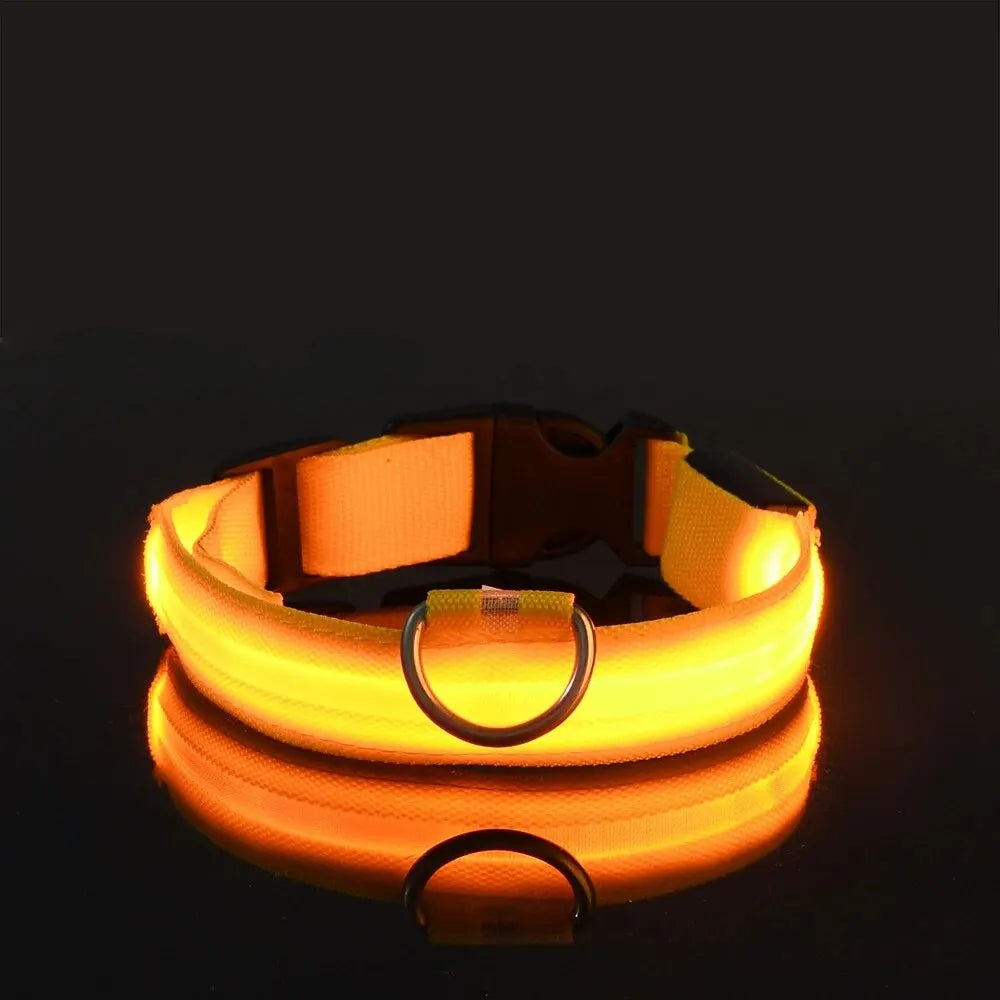 LED Glow in the Dark Dog Leash & Collar – Nylon Night Safety Gear