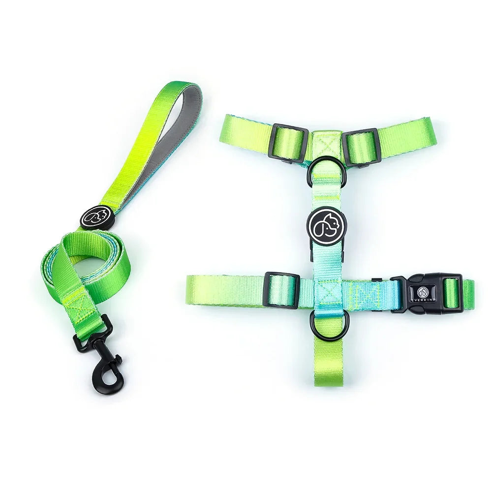 Gradient Color Dog Collar & Leash Set with Luxury Harness