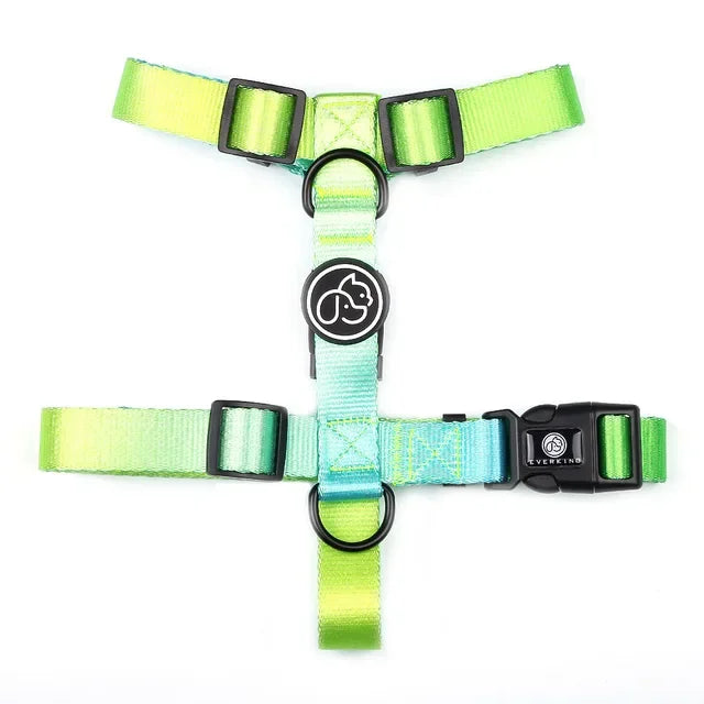 Gradient Color Dog Collar & Leash Set with Luxury Harness
