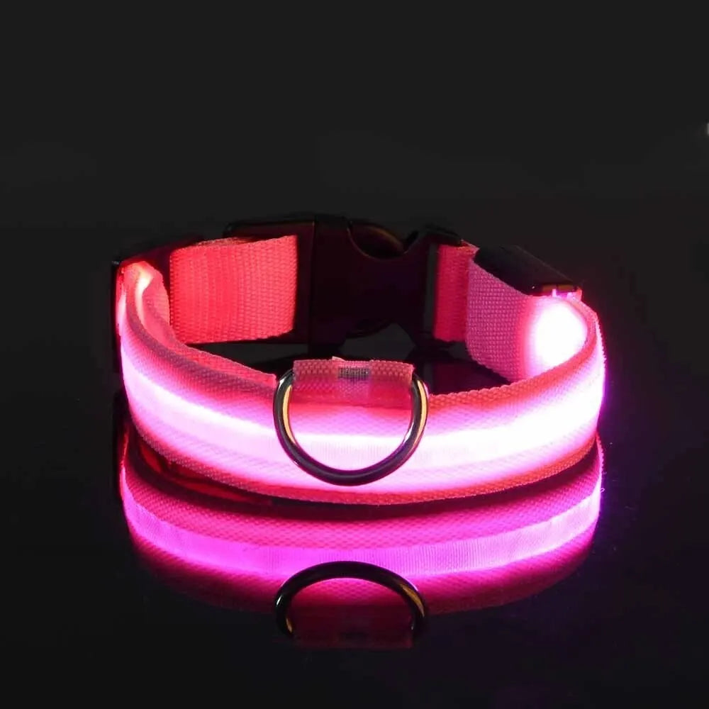 LED Glow in the Dark Dog Leash & Collar – Nylon Night Safety Gear