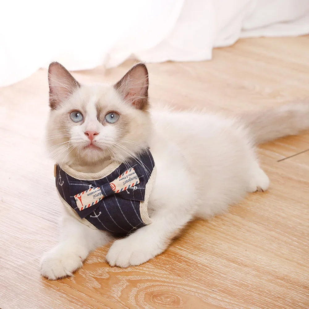 Cute Nylon Mesh Dog & Cat Harness Leash Set