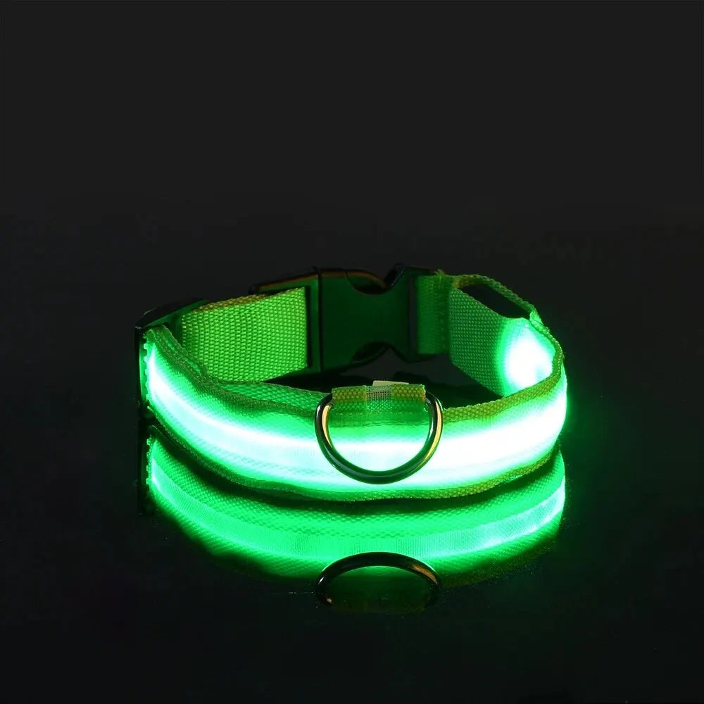 LED Glow in the Dark Dog Leash & Collar – Nylon Night Safety Gear