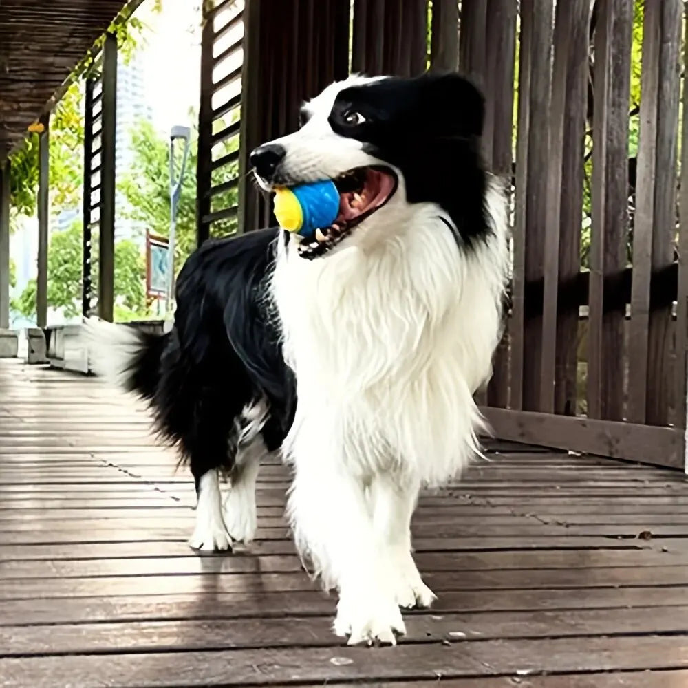 Durable Dog Chew Ball Toy