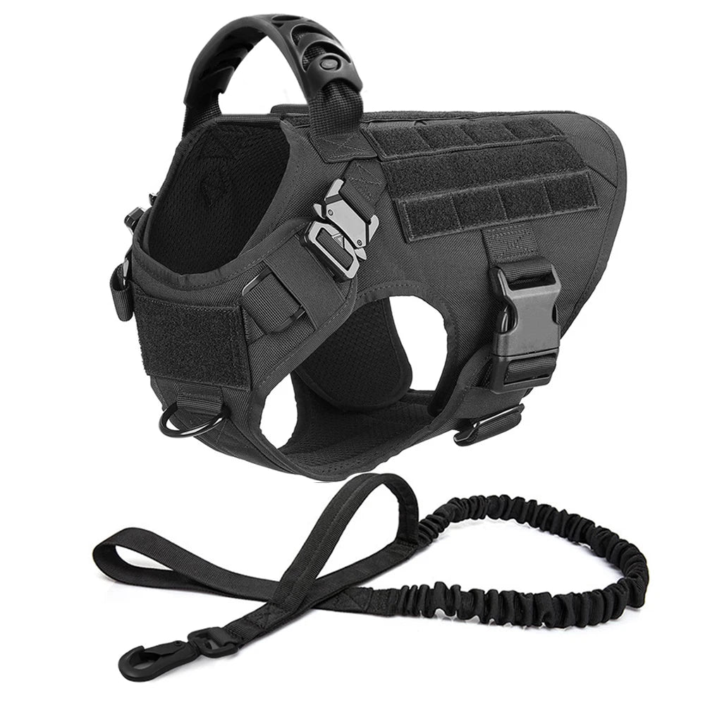 PETRAVEL LED Nylon Dog Harness & Leash – Night Safety Gear
