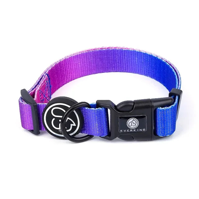 Gradient Color Dog Collar & Leash Set with Luxury Harness