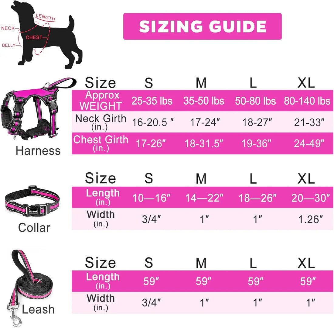 All-in-One Reflective No-Pull Dog Harness Set