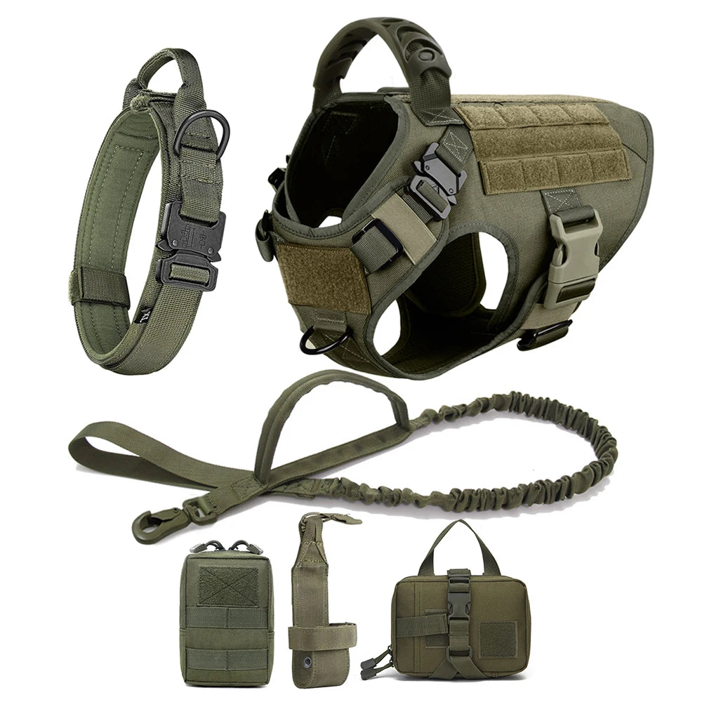 PETRAVEL LED Nylon Dog Harness & Leash – Night Safety Gear