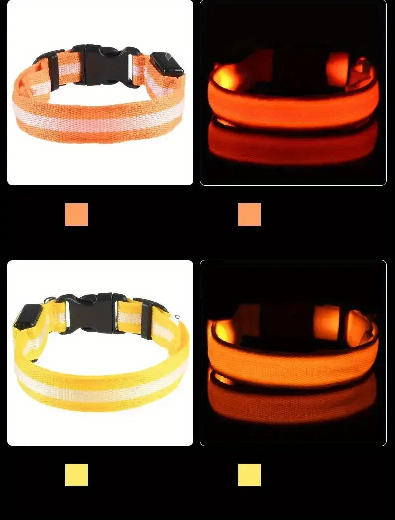 LED Glow in the Dark Dog Leash & Collar – Nylon Night Safety Gear