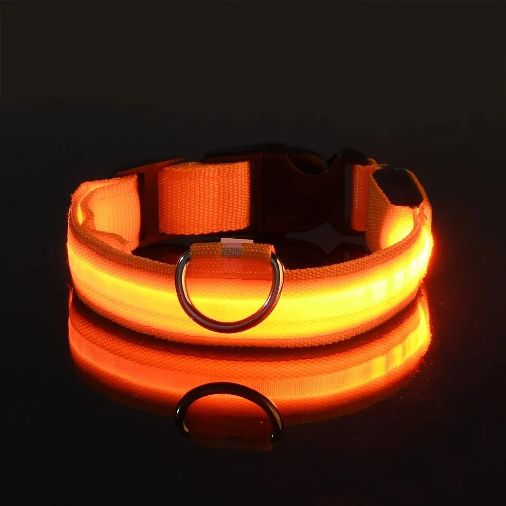 LED Glow in the Dark Dog Leash & Collar – Nylon Night Safety Gear