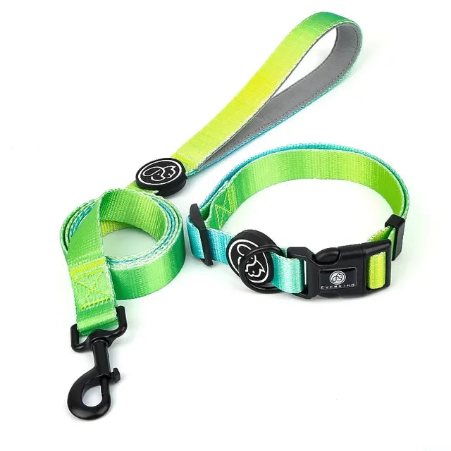 Gradient Color Dog Collar & Leash Set with Luxury Harness
