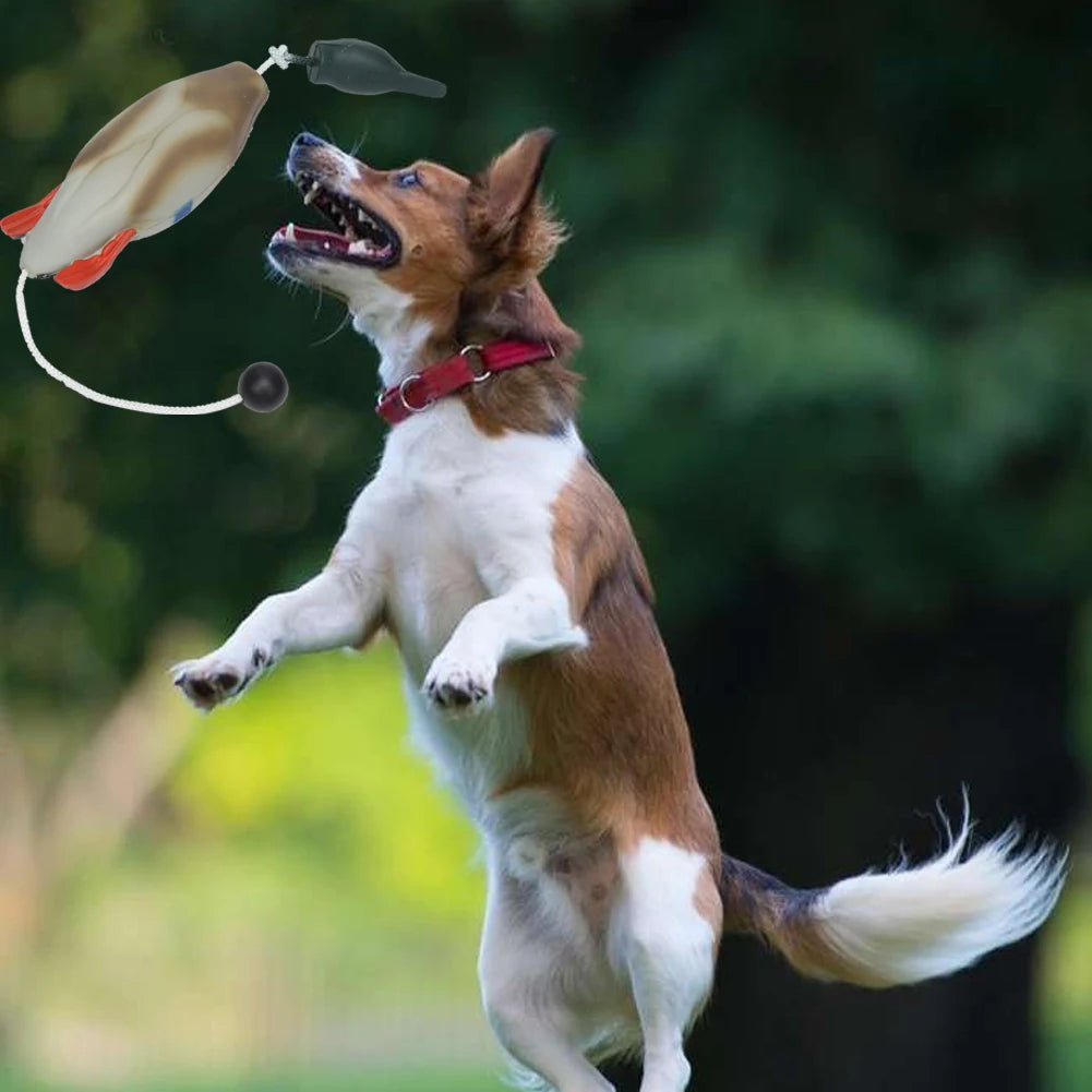 Dog Training Fake Duck Retrieval Toy