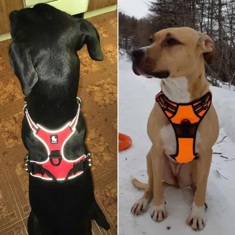 Truelove Reflective Dog Harness – Small to Large