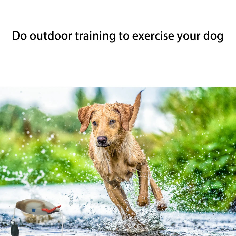 Dog Training Fake Duck Retrieval Toy