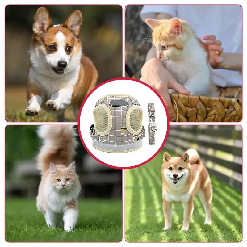 Soft Adjustable No-Pull Cat & Small Dog Harness
