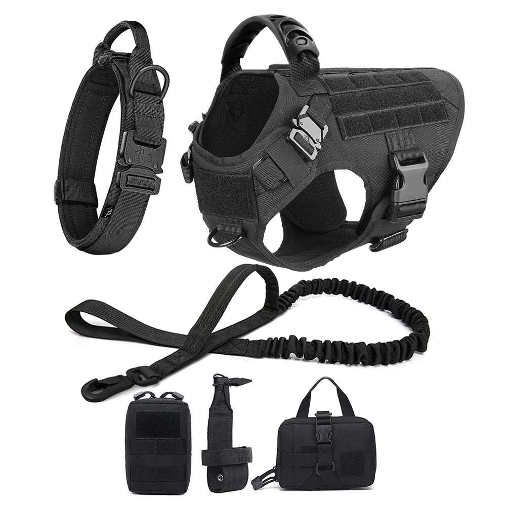 PETRAVEL LED Nylon Dog Harness & Leash – Night Safety Gear
