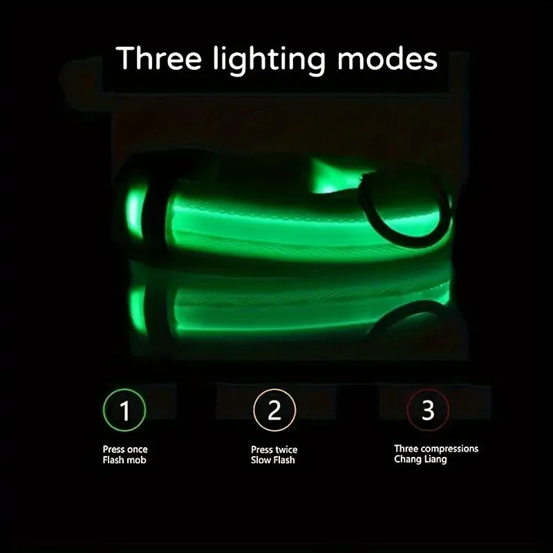 LED Glow in the Dark Dog Leash & Collar – Nylon Night Safety Gear