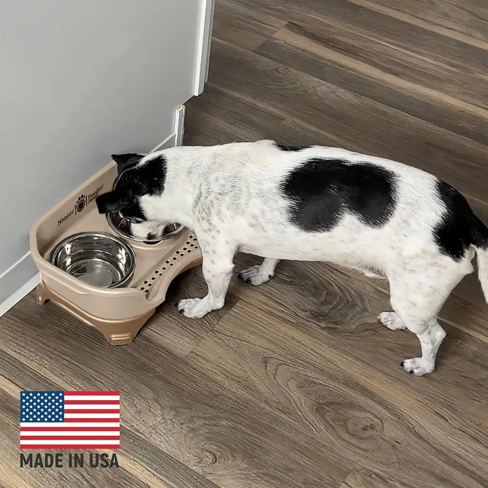 Mess-Proof Elevated Non-Spill Dog Bowl