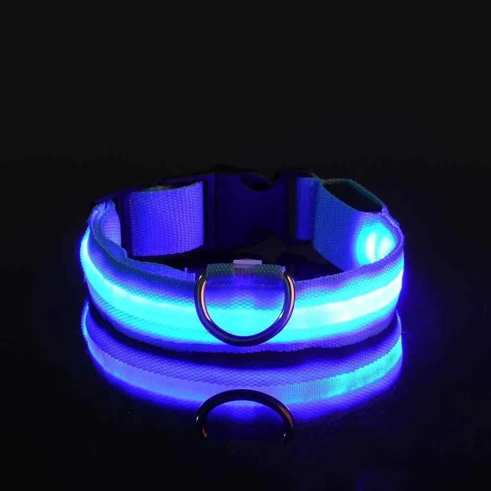LED Glow in the Dark Dog Leash & Collar – Nylon Night Safety Gear