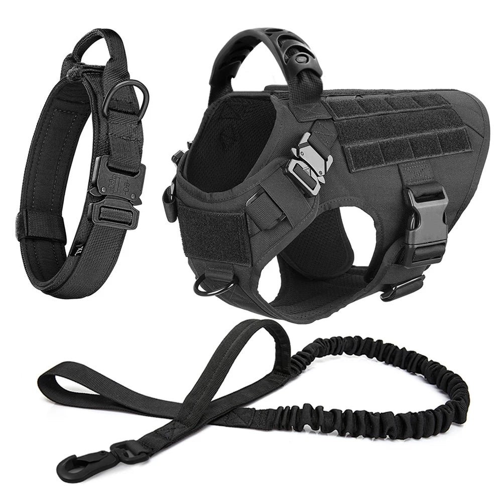 PETRAVEL LED Nylon Dog Harness & Leash – Night Safety Gear