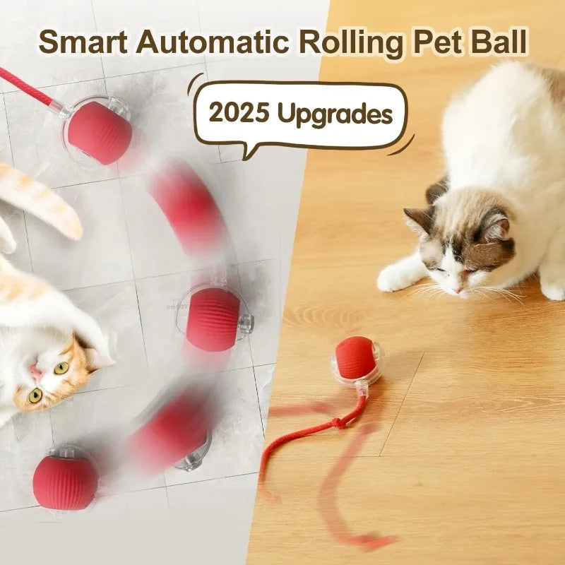 Electric Self-Rolling Cat Ball Toy