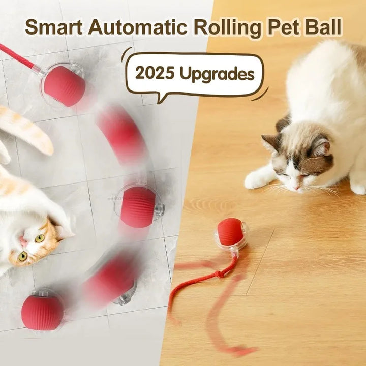 Electric Self-Rolling Cat Ball Toy