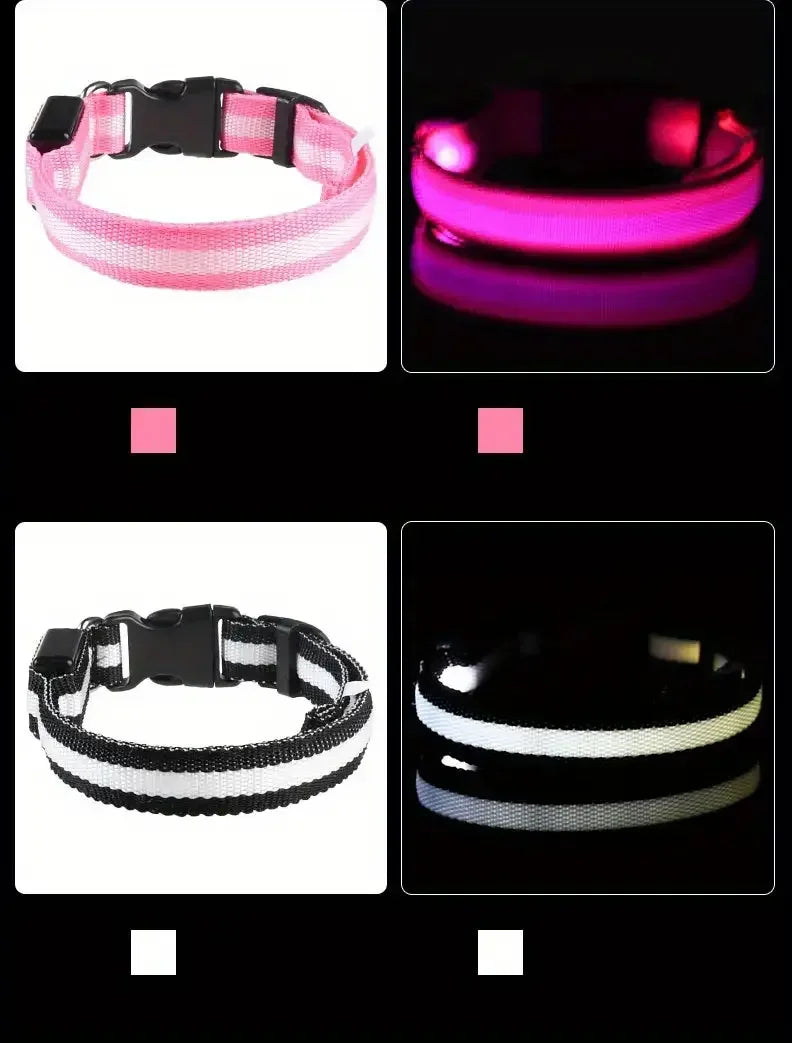 LED Glow in the Dark Dog Leash & Collar – Nylon Night Safety Gear
