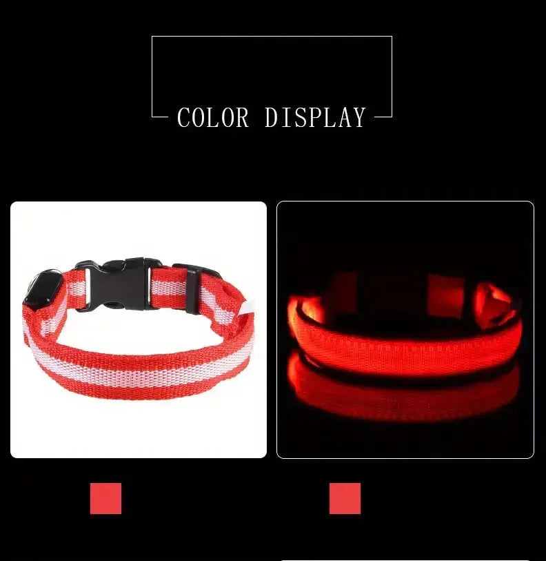 LED Glow in the Dark Dog Leash & Collar – Nylon Night Safety Gear