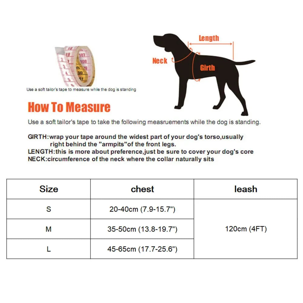 Cute Nylon Mesh Dog & Cat Harness Leash Set