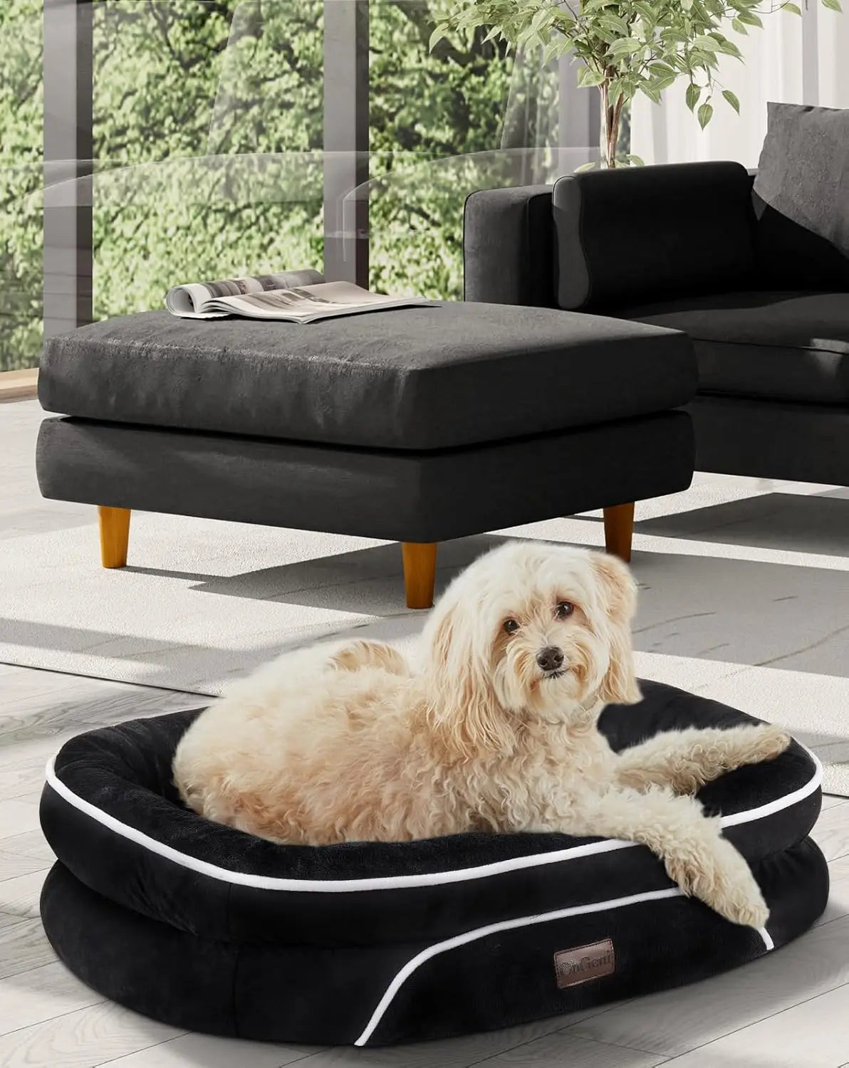 Orthopedic Dog Bed with Bolsters for Large Pets