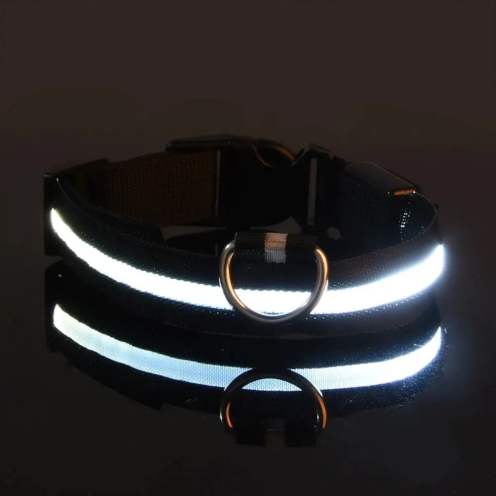 LED Glow in the Dark Dog Leash & Collar – Nylon Night Safety Gear
