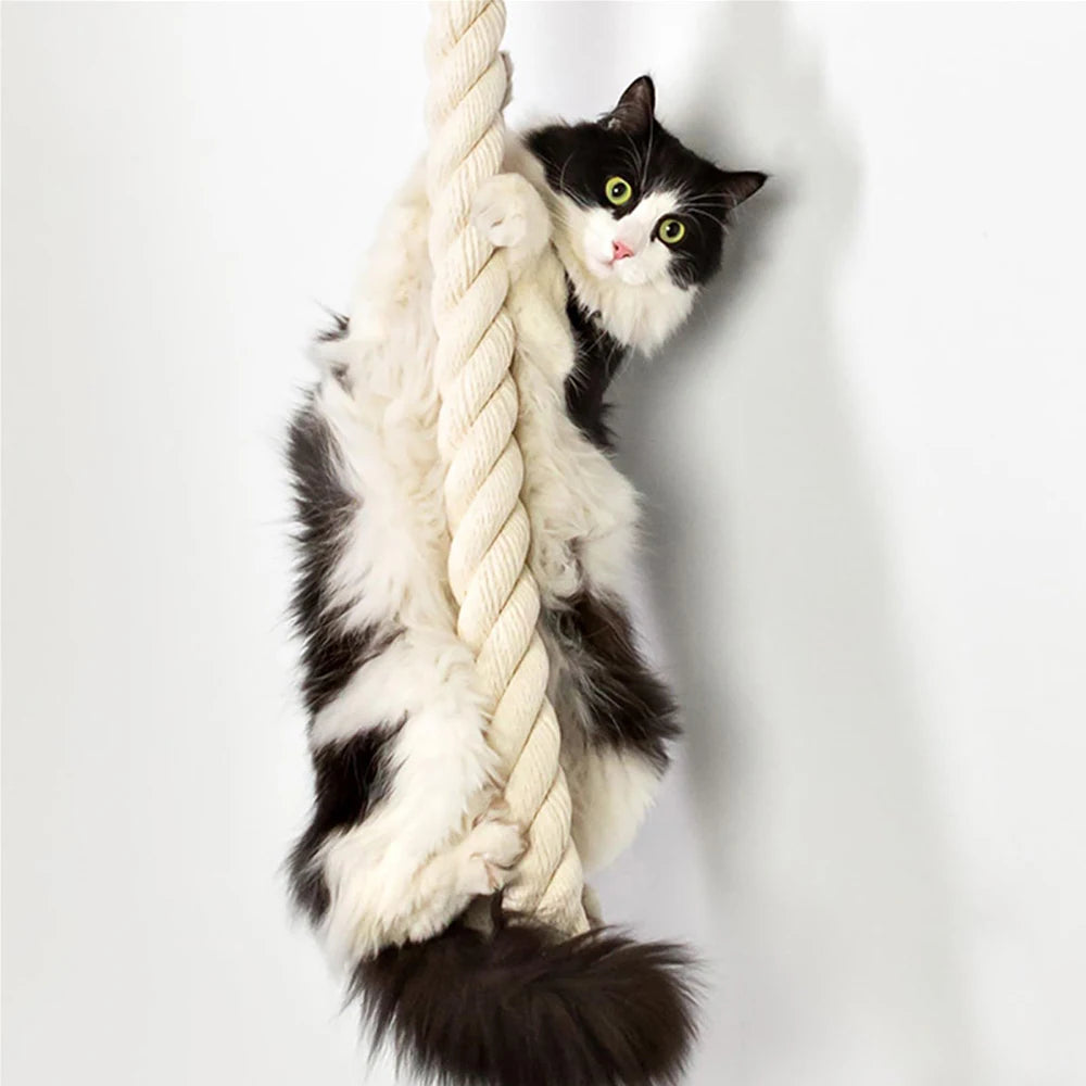 Wall-Mounted Cat Climbing Shelf & Rope Tree – Indoor Activity Gym