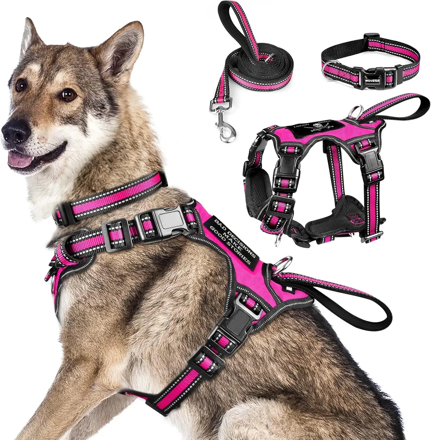 All-in-One Reflective No-Pull Dog Harness Set