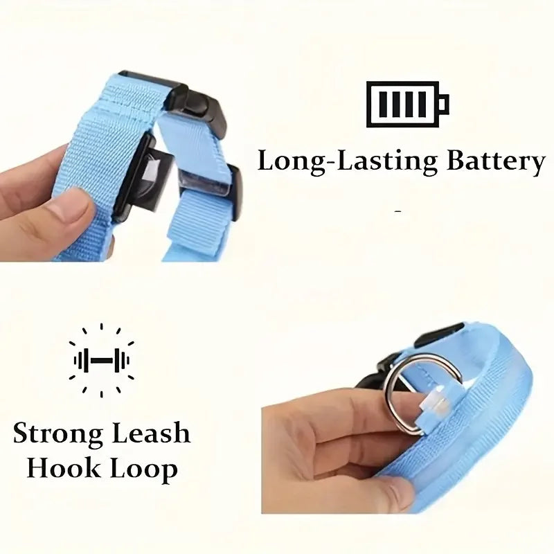 LED Glow in the Dark Dog Leash & Collar – Nylon Night Safety Gear