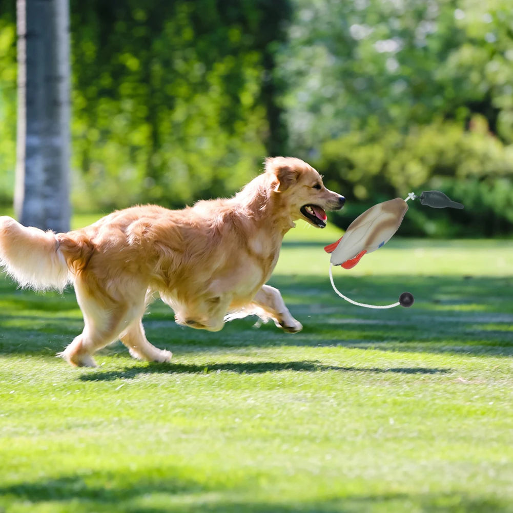 Dog Training Fake Duck Retrieval Toy