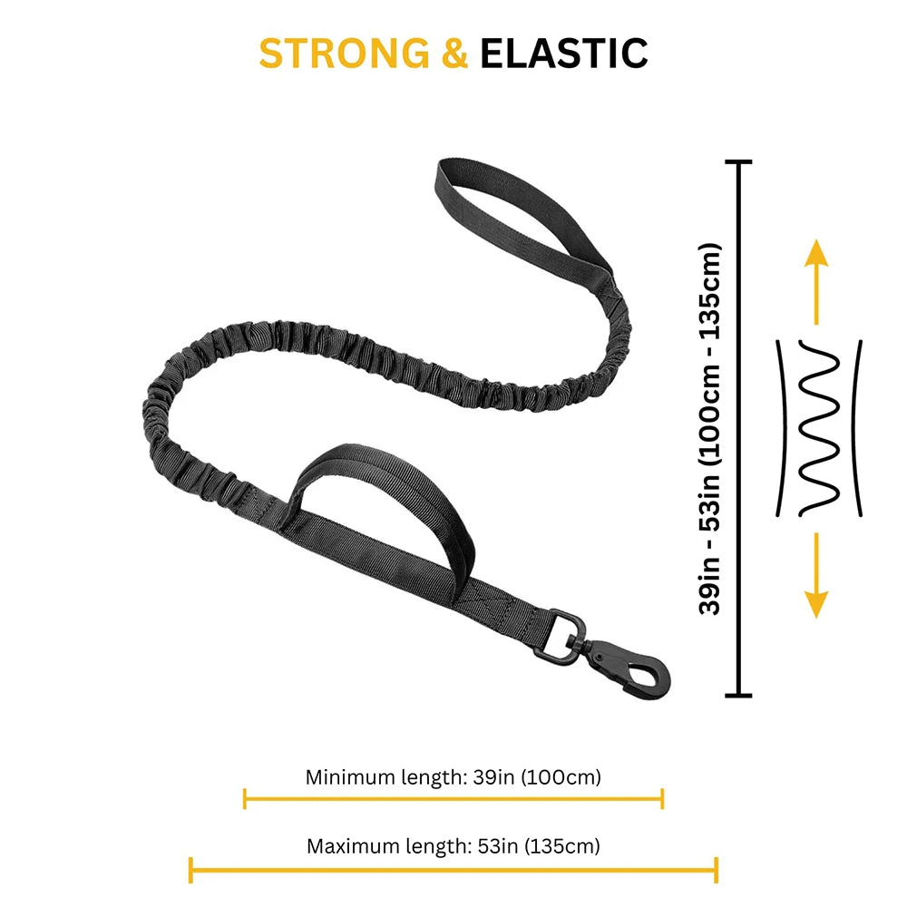PETRAVEL LED Nylon Dog Harness & Leash – Night Safety Gear