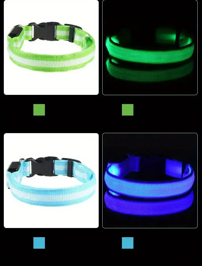 LED Glow in the Dark Dog Leash & Collar – Nylon Night Safety Gear