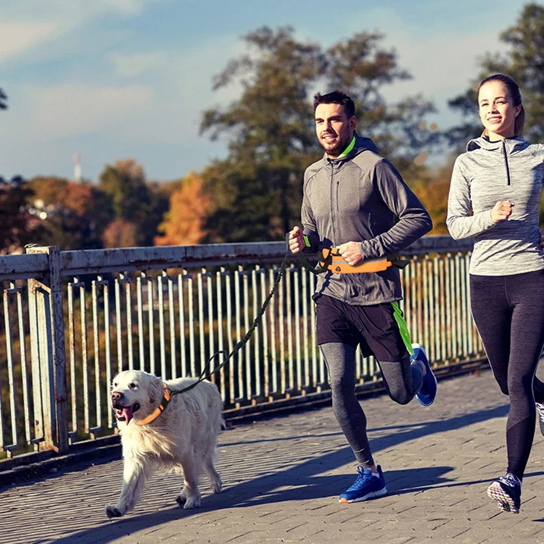 Hands-Free Reflective Dog Leash with Waist Bag