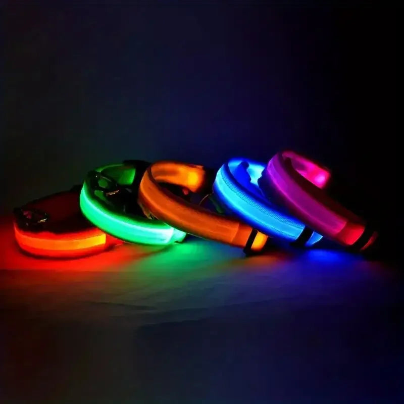 LED Glow in the Dark Dog Leash & Collar – Nylon Night Safety Gear