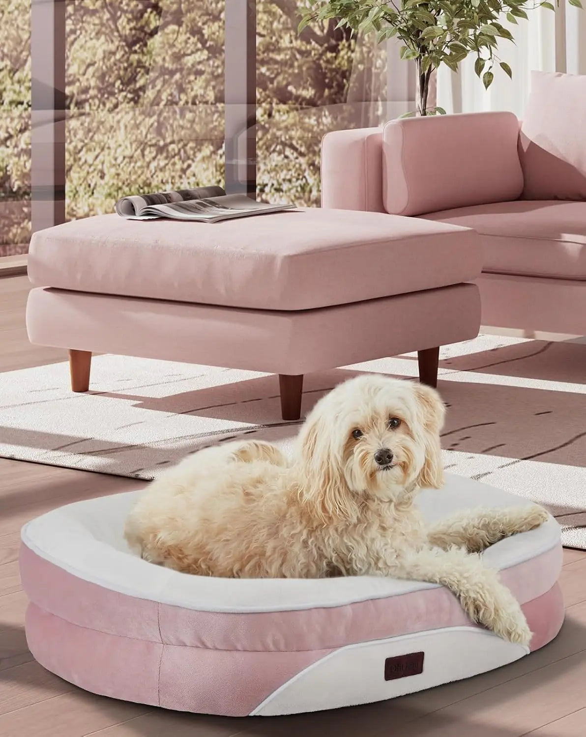 Orthopedic Dog Bed with Bolsters for Large Pets